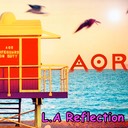 L.A reflection (reissue)