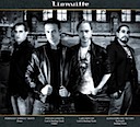 LIONVILLE