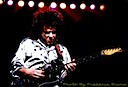 Steve Lukather